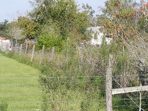 Zemanek Cemetery