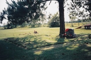 Guy Public Cemetery | FB-C144