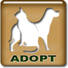 Adopt